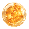 BP_4_Who we are Section_Orange Helix Image
